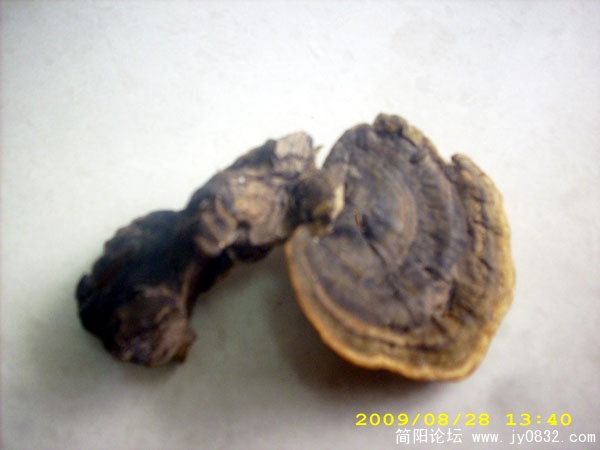 DSCI2684.jpg