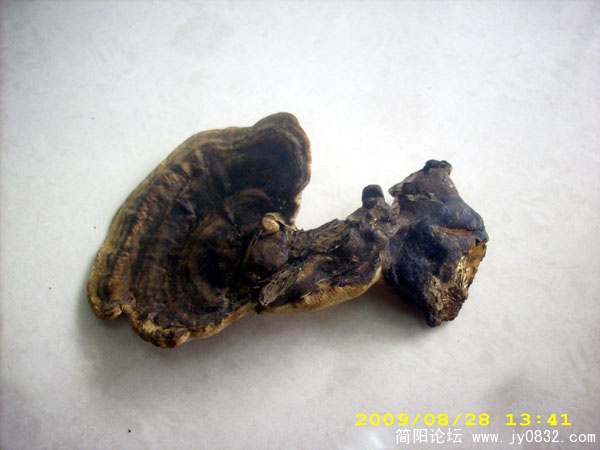 DSCI2687.jpg