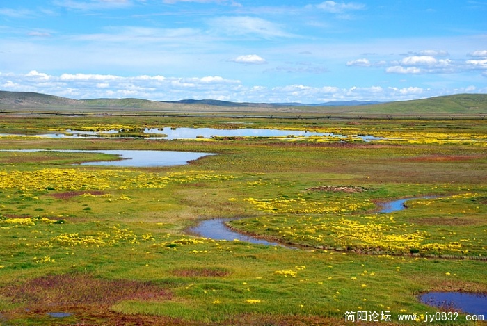 青海的湿地比四川的湿地生态保护好得多