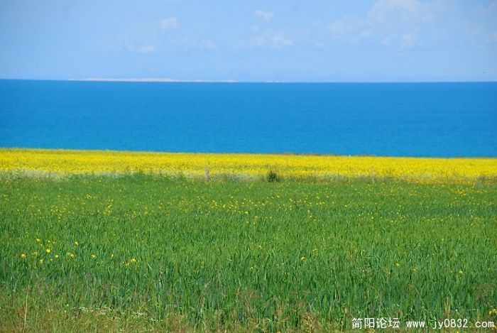 浅兰、深兰、黄色、绿色，这就是盼望了多久的青海湖呀！
