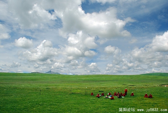 一车喇嘛，把车停在路上，悠闲的在草原上野餐、玩耍。