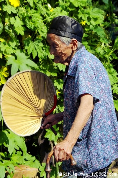 IMGP2923.jpg