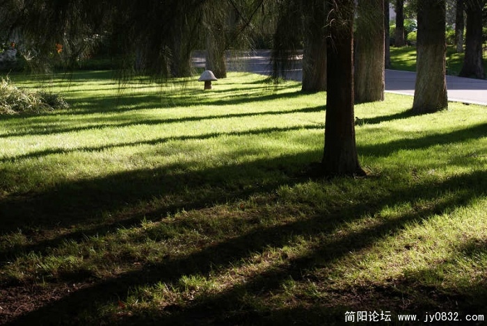 nEO_IMG_DSC03881.jpg