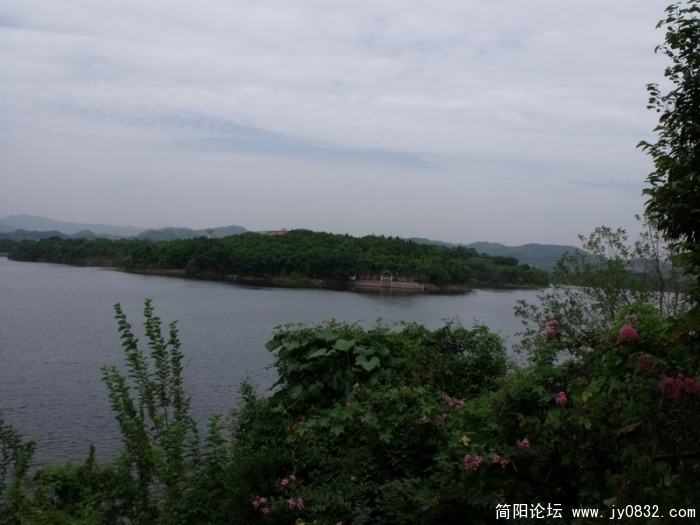 DSCF0516.JPG