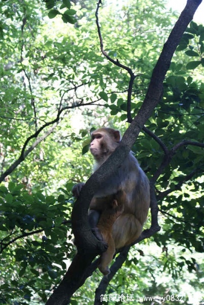 nEO_IMG_DSC03755.jpg