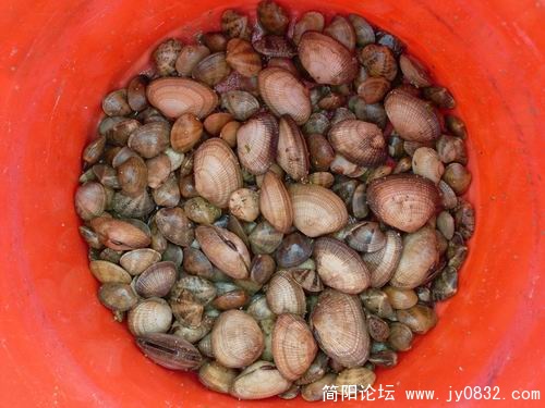 调整大小 SL373070.JPG