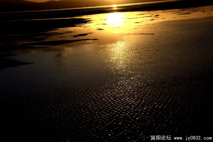 照片 732.jpg