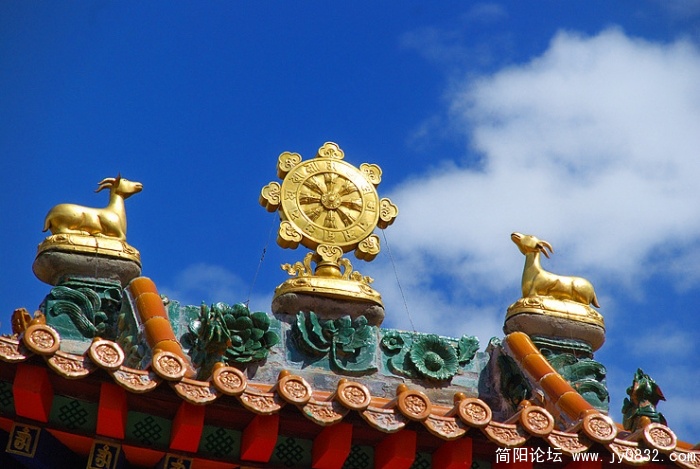 塔尔寺的神鹿仍无法与云南松赞林寺金光闪闪、肥肥的神鹿相比。