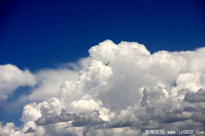 照片 532.jpg