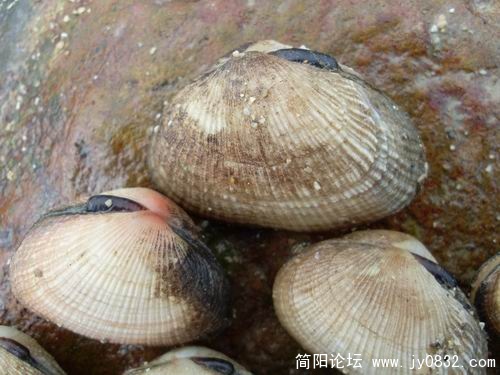 调整大小 SL373068.JPG