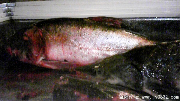 nEO_IMG_Image166.jpg