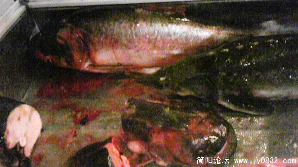 nEO_IMG_Image164.jpg