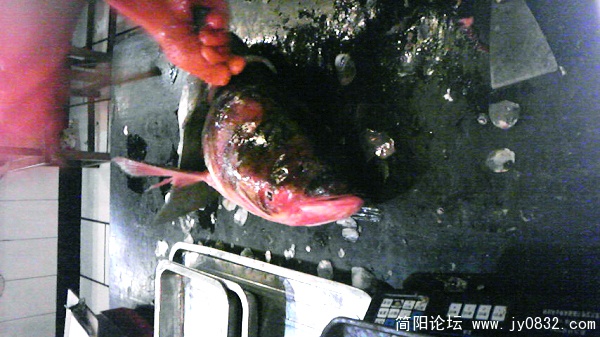 nEO_IMG_Image170.jpg
