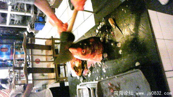 nEO_IMG_Image171.jpg