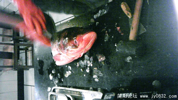 nEO_IMG_Image169.jpg