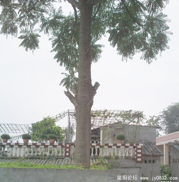 照片2224.jpg