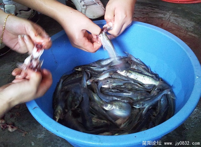 照片2227.jpg