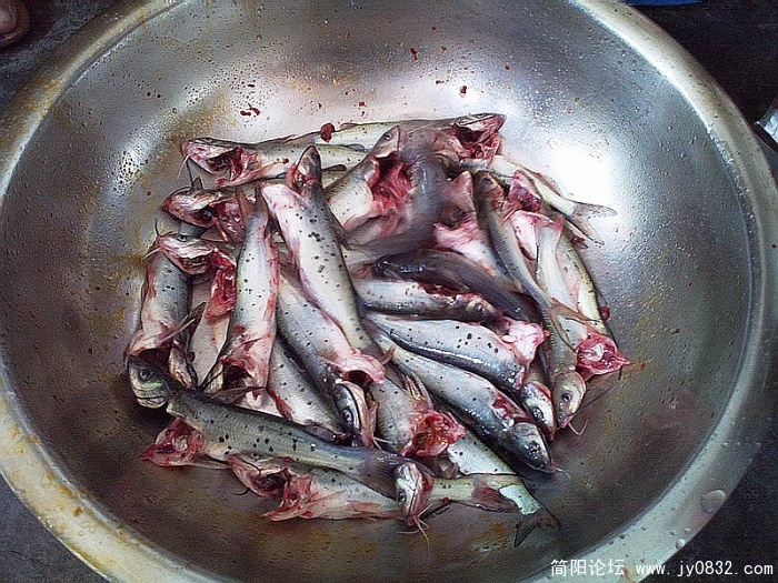 照片2228.jpg