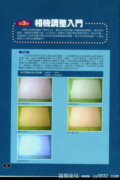 P-008.JPG
