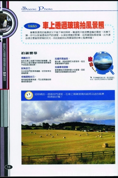 P-018.JPG
