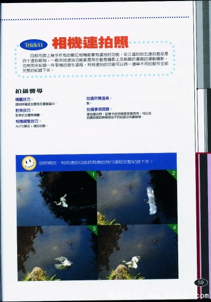 P-059.JPG