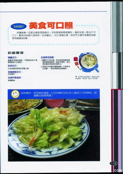 P-113.JPG