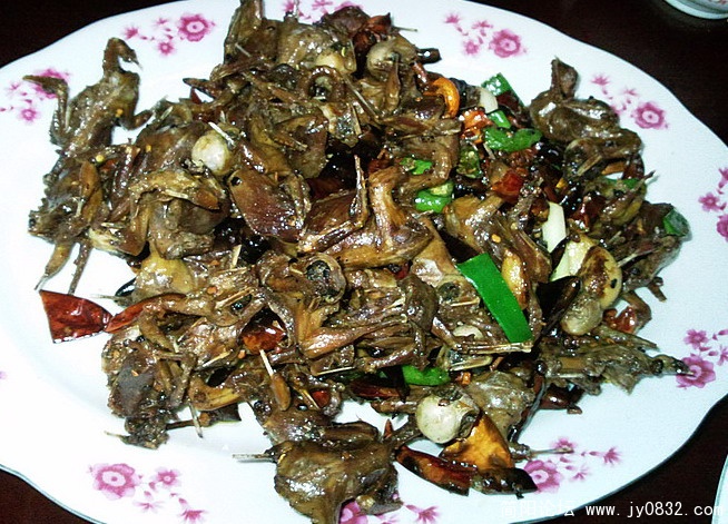 照片2243.jpg