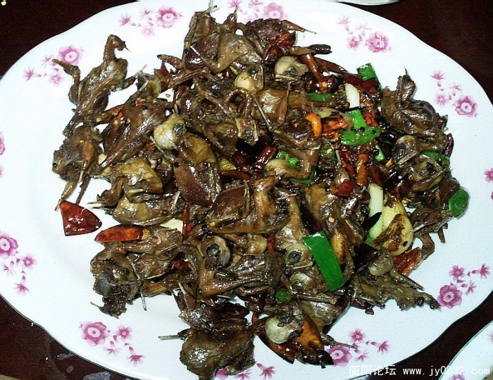 照片2244.jpg