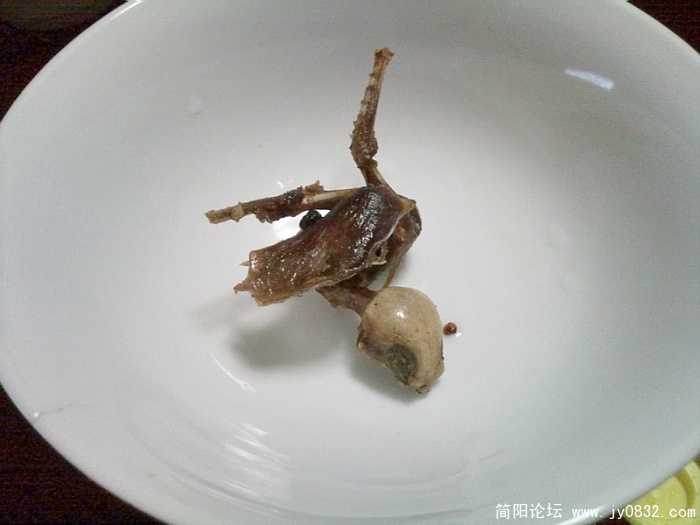 照片2257.jpg