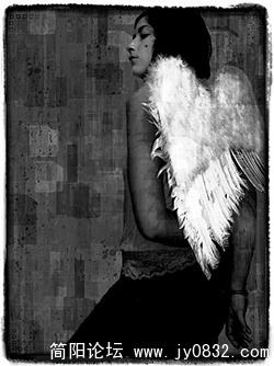 47_94190_9cb04bb5135b8cc.jpg