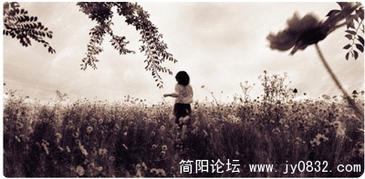 47_94190_b1d686c5fe7931f.jpg