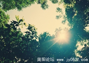 47_94190_ca7dd372be5168d.jpg