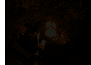 47_94190_c2d2eaef2566fa2.gif
