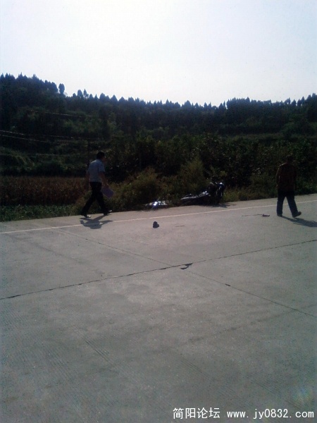 SP_A2990.jpg