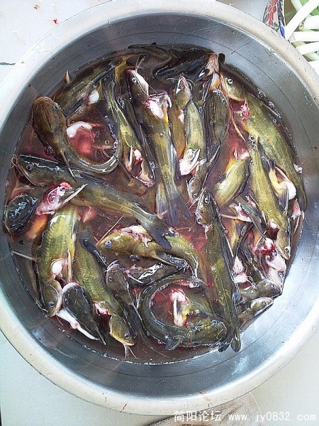 照片2363.jpg