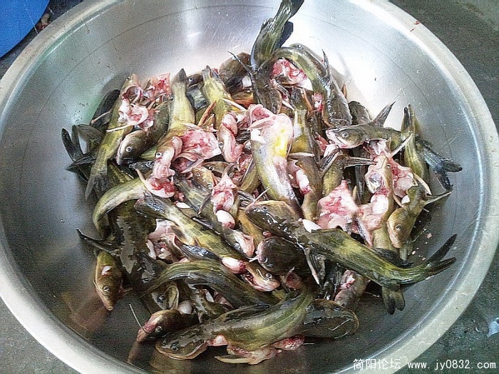 照片2368.jpg