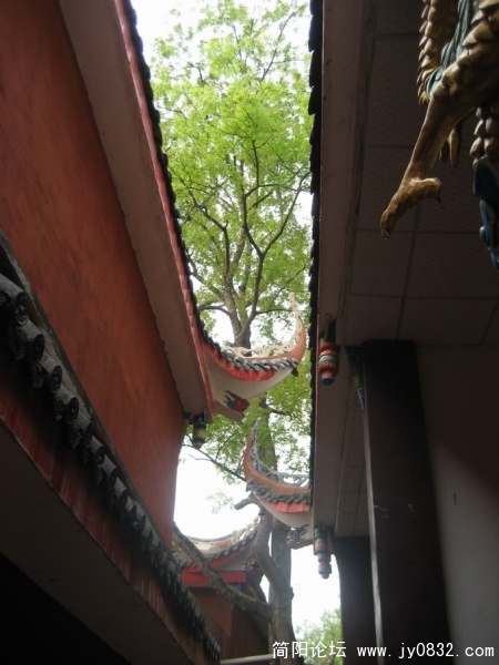 照片 031.jpg