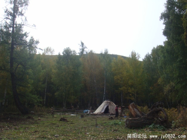 树林里的小毡房
