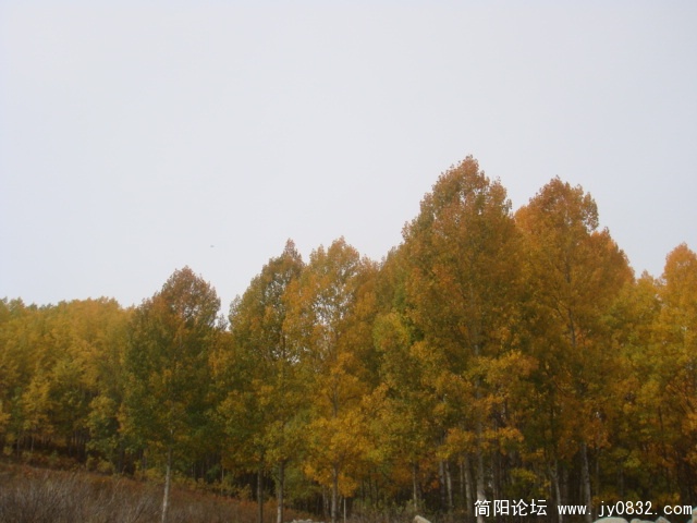 DSC01375.JPG