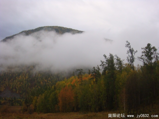 DSC01566.JPG