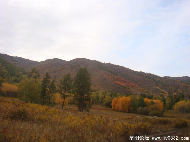 DSC01504.JPG