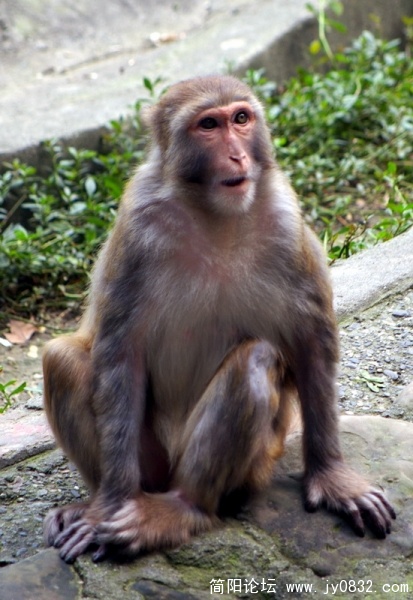 IMGP3103.jpg