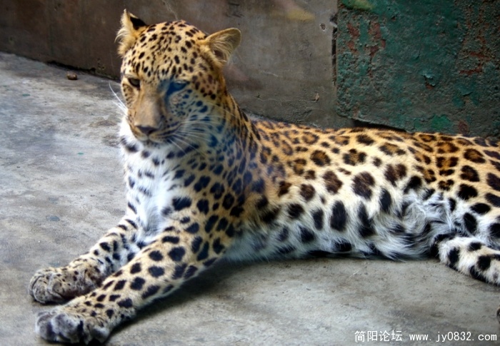 IMGP3136.jpg