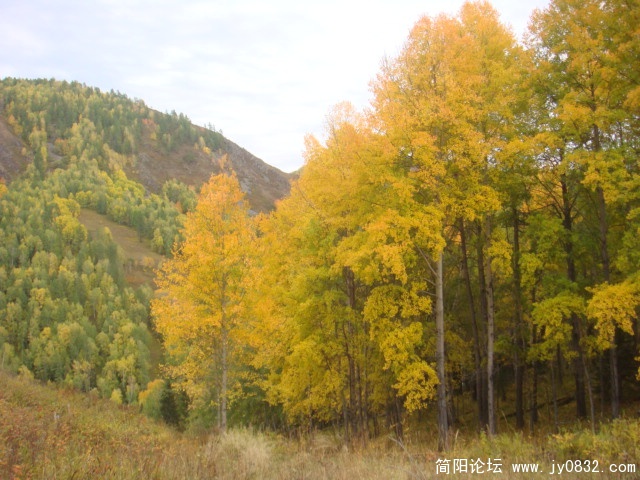 DSC01495.JPG