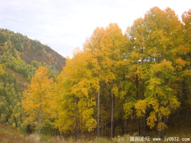 DSC01497.JPG