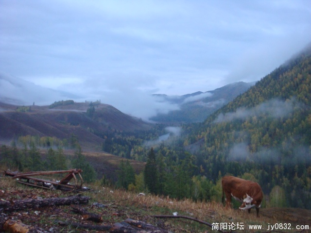DSC01515.JPG