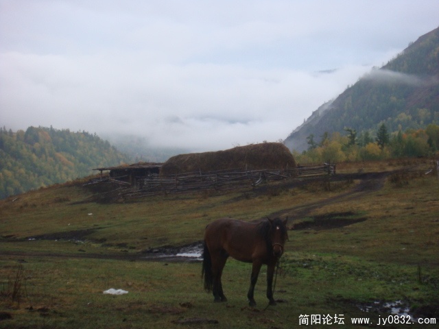 DSC01537.JPG