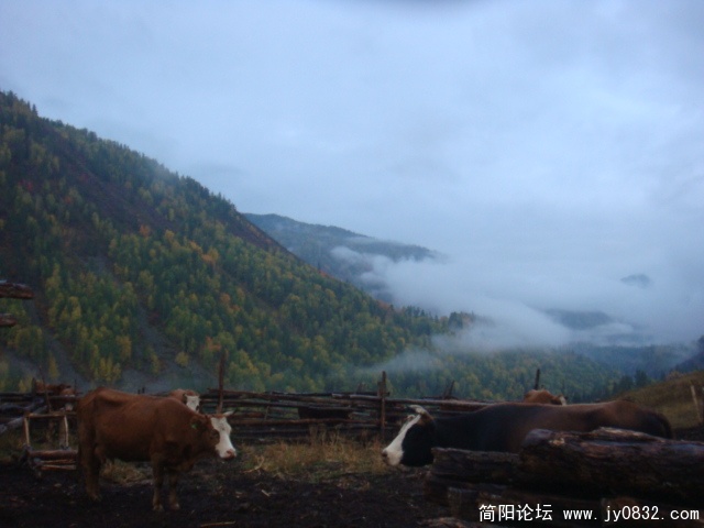 DSC01518.JPG