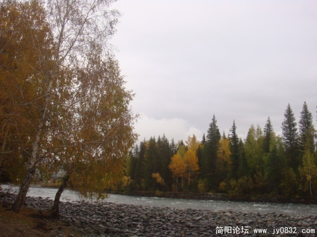 DSC01614.JPG