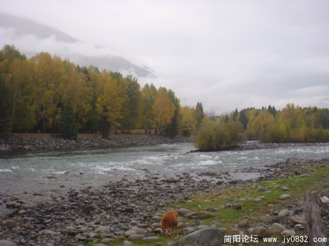 DSC01629.JPG